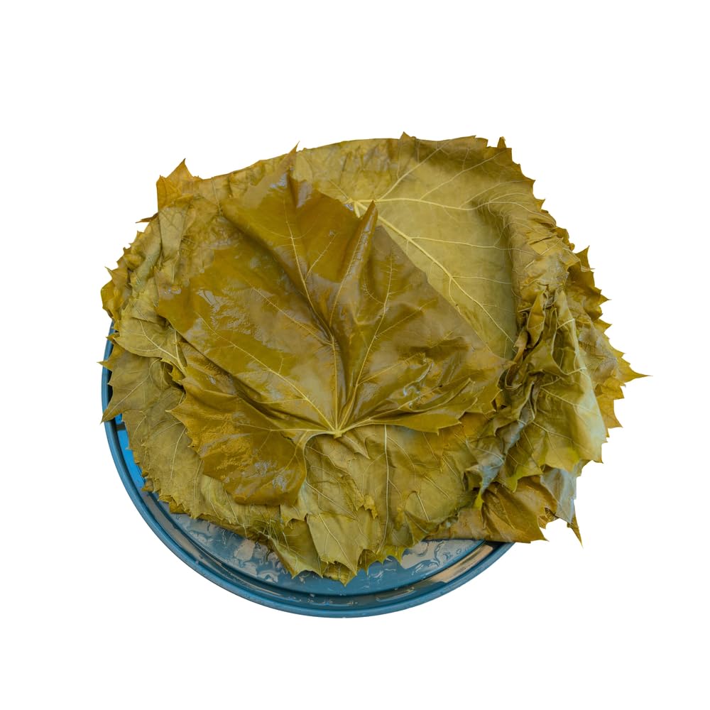 Sanniti Grape Leaves in Brine leaves in brine, ready to use in recipes.