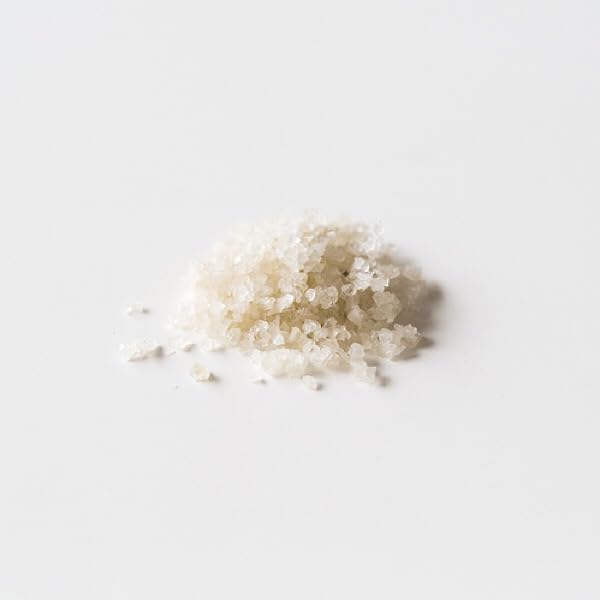 Sanniti hand-harvested salt paludiers in a Guérande marsh.