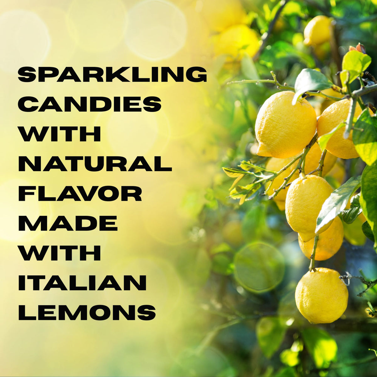 Sanniti Limoncini Frizzanti sharing scene, perfect for gatherings and gifts.