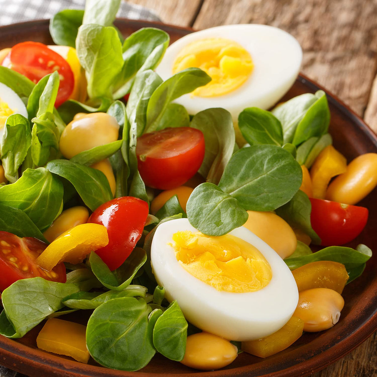Sanniti lupini beans in a salad bowl demonstrate versatile Italian ingredient.