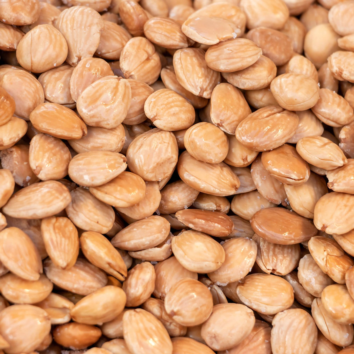 Sanniti fried almonds product photo with 1 lb packaging.