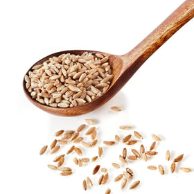 Measuring dry Sanniti farro for simple meal prep