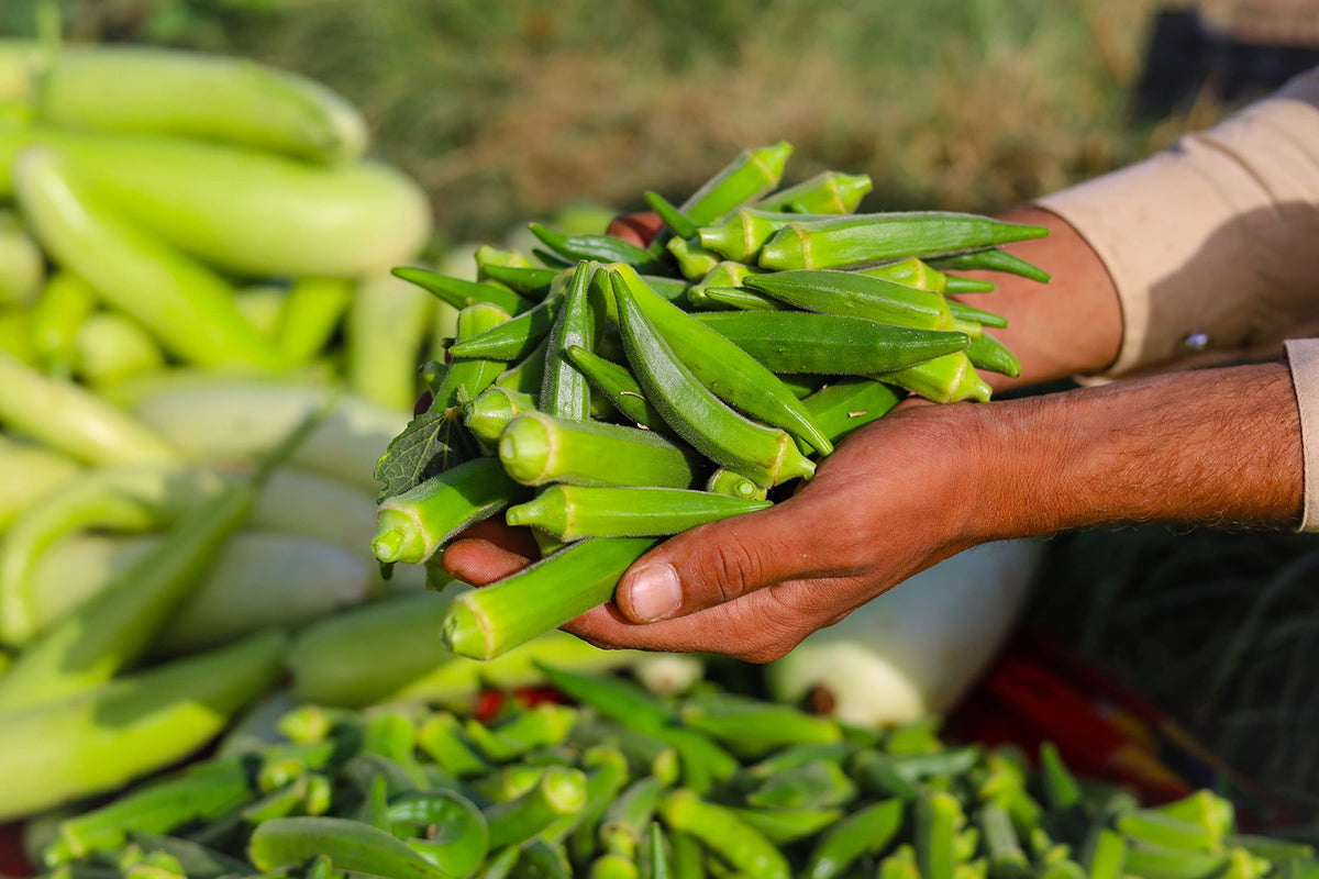Sanniti spicy okras crunch enhances appetizers and boards.