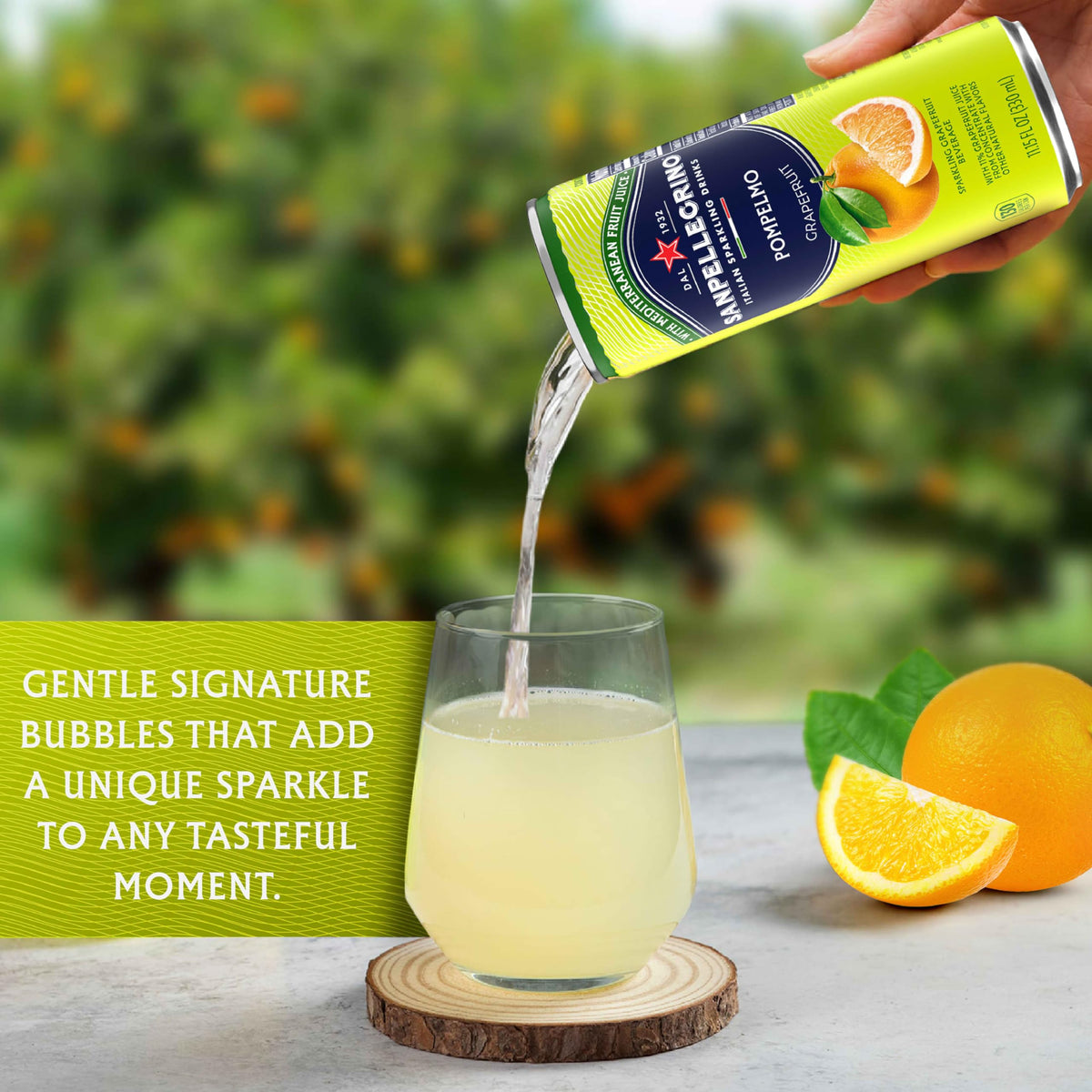 Serving suggestion: garnish with rosemary for an elevated sparkling beverage experience.