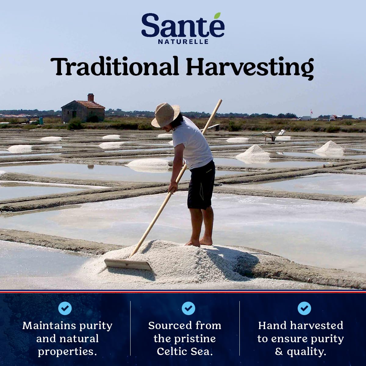 Sante Naturelle three-pack packaging displayed for bulk kitchen use