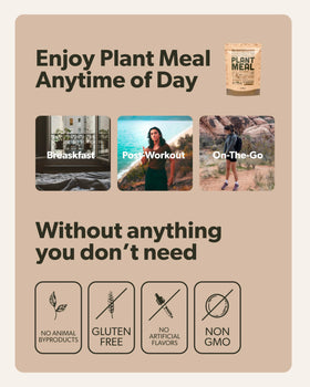 Eco-friendly packaging and tree planting initiative of Sapling