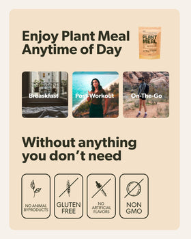 Sapling Plant Meal Vanilla on-the-go pack shows portable meal replacement option