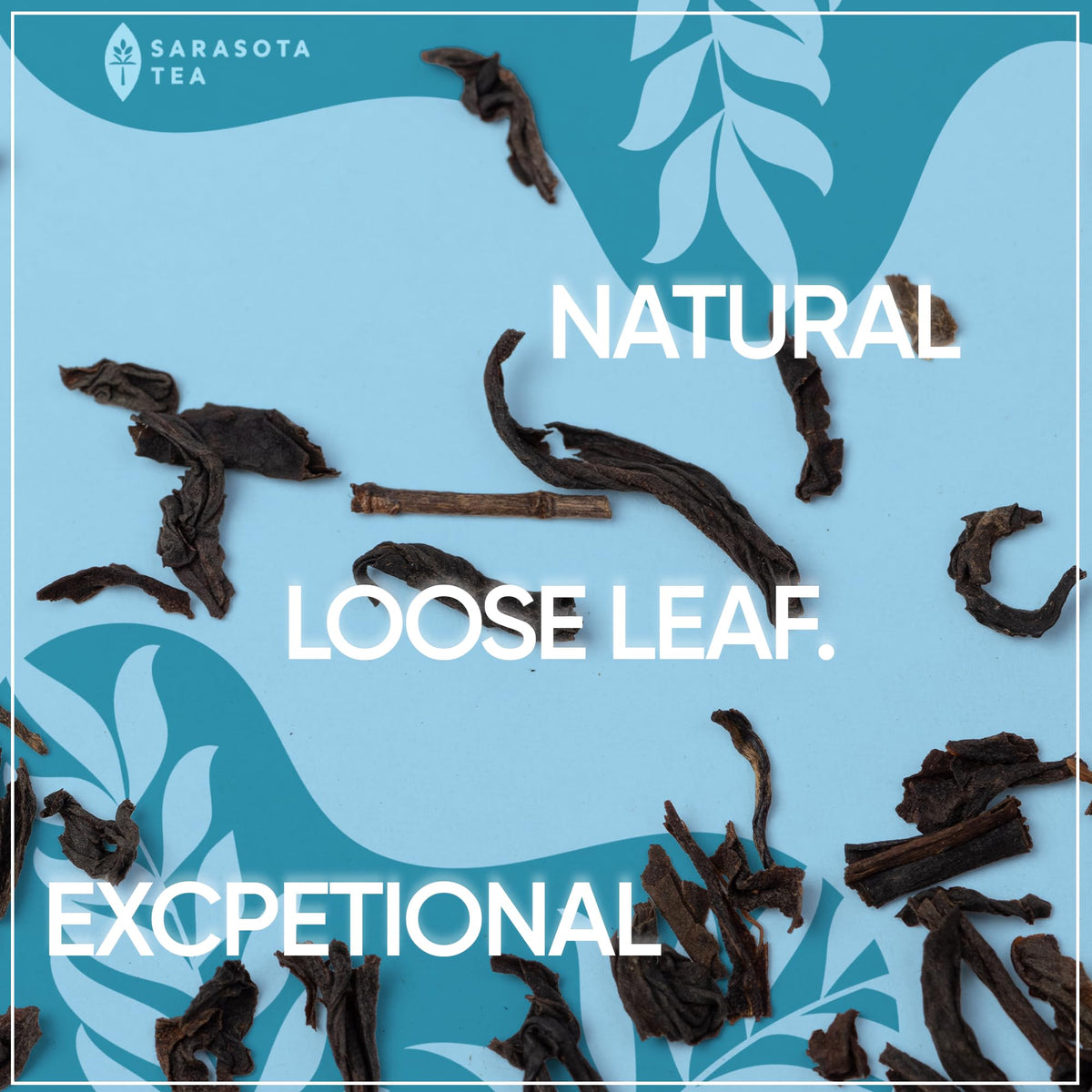 Sarasota family-run brand offering high-quality loose leaf tea