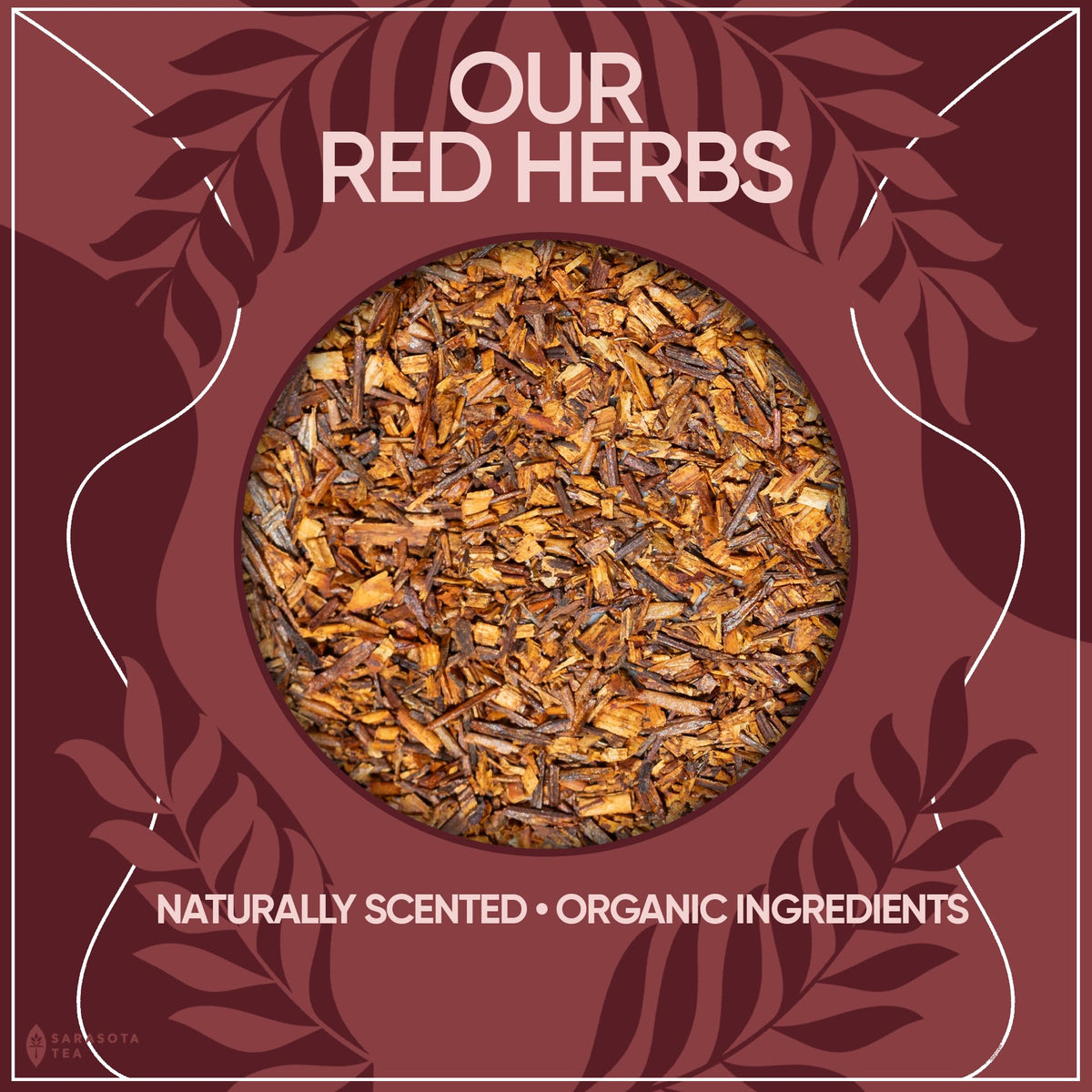 Sarasota Rooibos blend with honey vanilla or citrus for versatile servings.