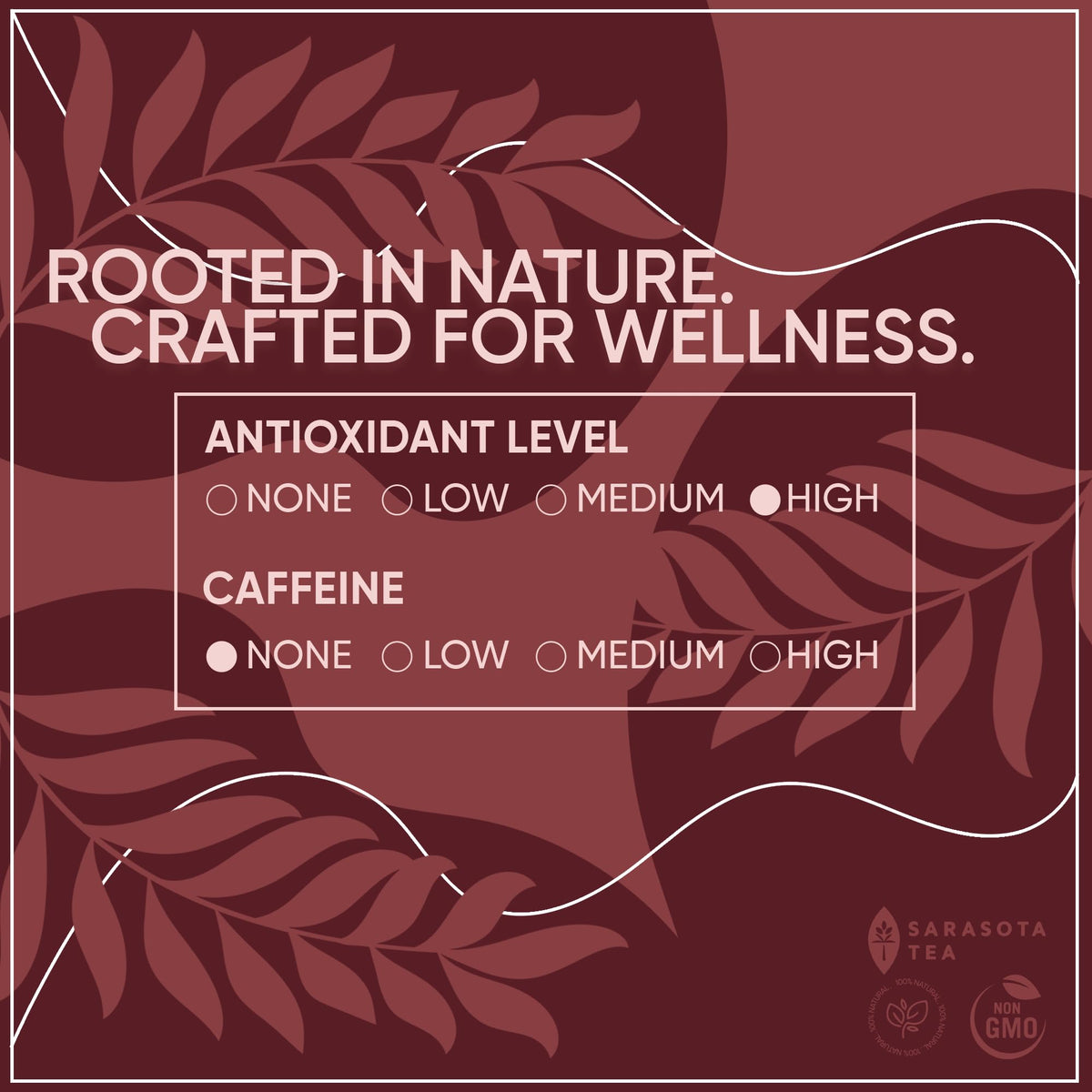 Sarasota Rooibos tea being poured to savor a comforting hot cup.