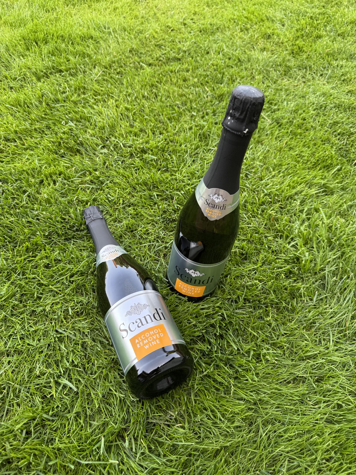 SCANDI BRUT beside canapés and salads for brunch-friendly pairing.
