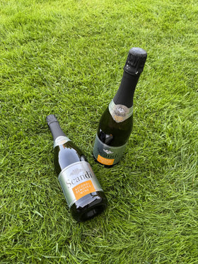 SCANDI BRUT beside canapés and salads for brunch-friendly pairing.