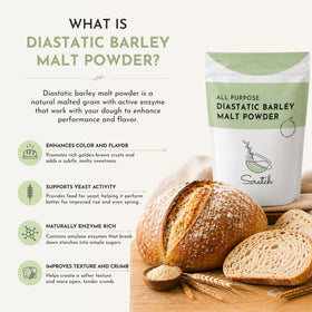Scratch diastatic malt powder scoop demonstrates easy measurement for consistent batches
