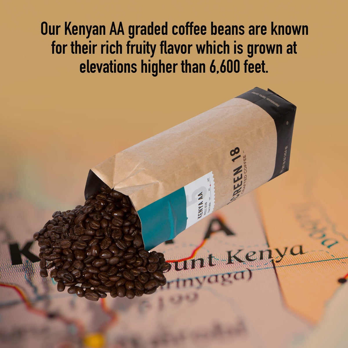 Screen 18 Kenya AA beans roast glow in medium-dark finish.