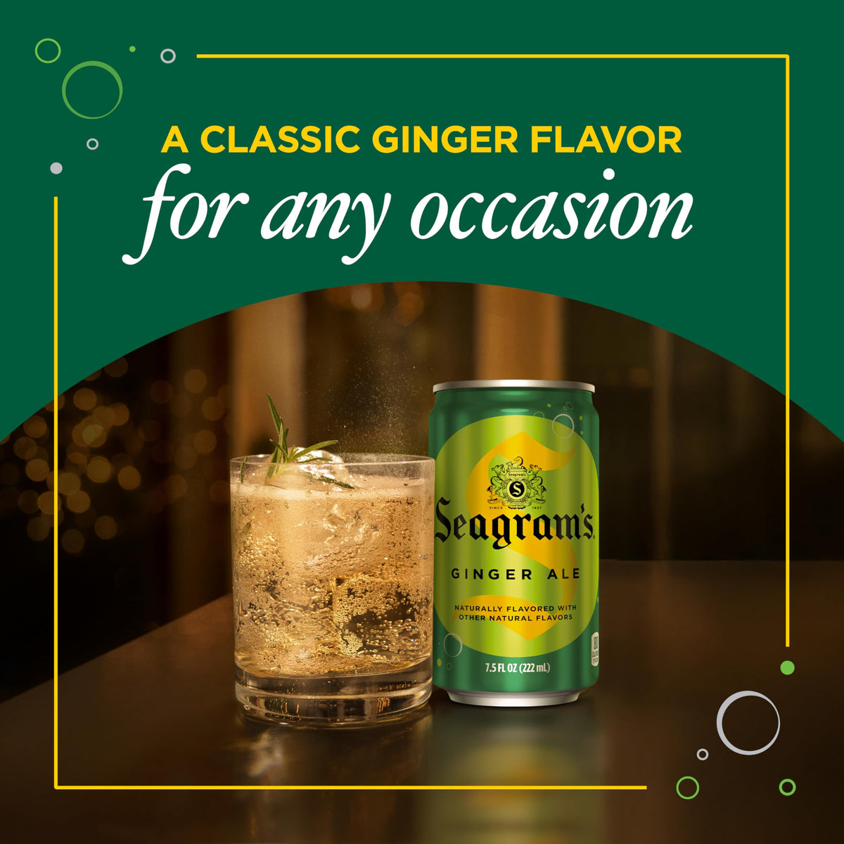 Seagram's Ginger Ale 7.5 oz mini can, convenient solo or as a mixer.