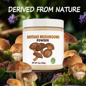 SEAYOFA shiitake powder jar wide-mouth opening enables easy scooping