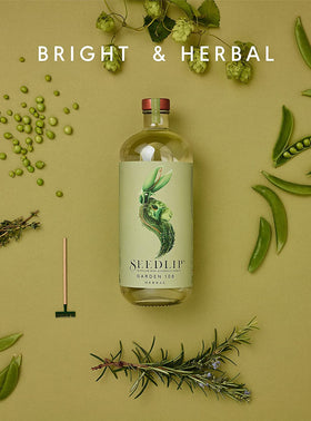 Seedlip Garden 108 over ice with mixer for a refreshing non-alcoholic pour