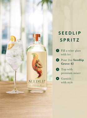 Seedlip Grove 42 over ice with citrus garnish, elevating everyday sips.