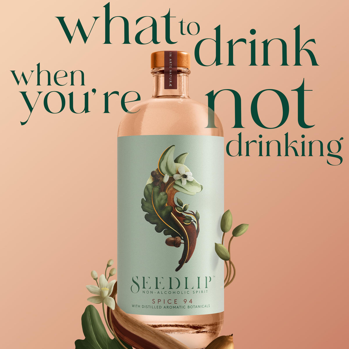SEEDLIP Spice 94 botanicals closeup featuring allspice, cardamom, and citrus notes