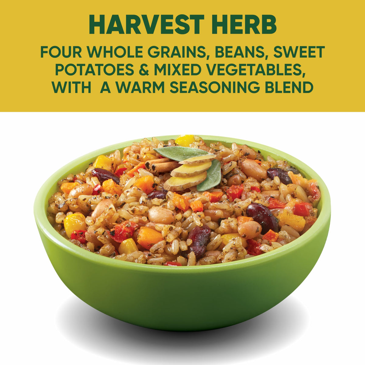 SEEDS OF CHANGE Harvest Herb Bowl ingredients close-up with quinoa, beans, and vegetables.