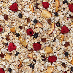 Serving bowl of Seitenbacher Muesli #2 Berries Temptation ready for breakfast.