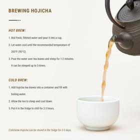 Senbird Hojicha cold brew in pitcher for a refreshing iced tea.