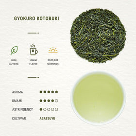 Senbird Kyoto shade-grown leaves highlighting gentle sweetness and lower astringency.