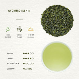Senbird Gyokuro loose leaves close-up highlighting quality