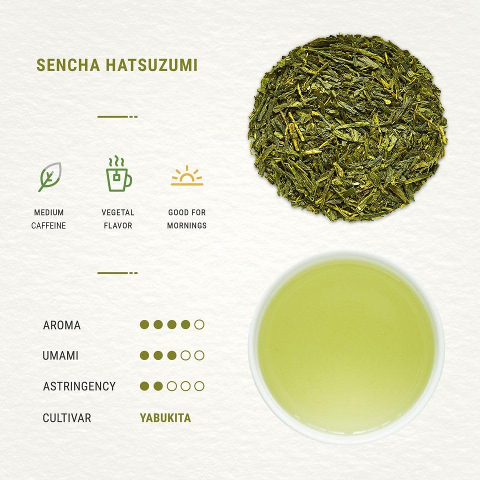 Close-up of Senbird Sencha leaves reveals vibrant green quality.