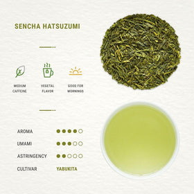 Close-up of Senbird Sencha leaves reveals vibrant green quality.
