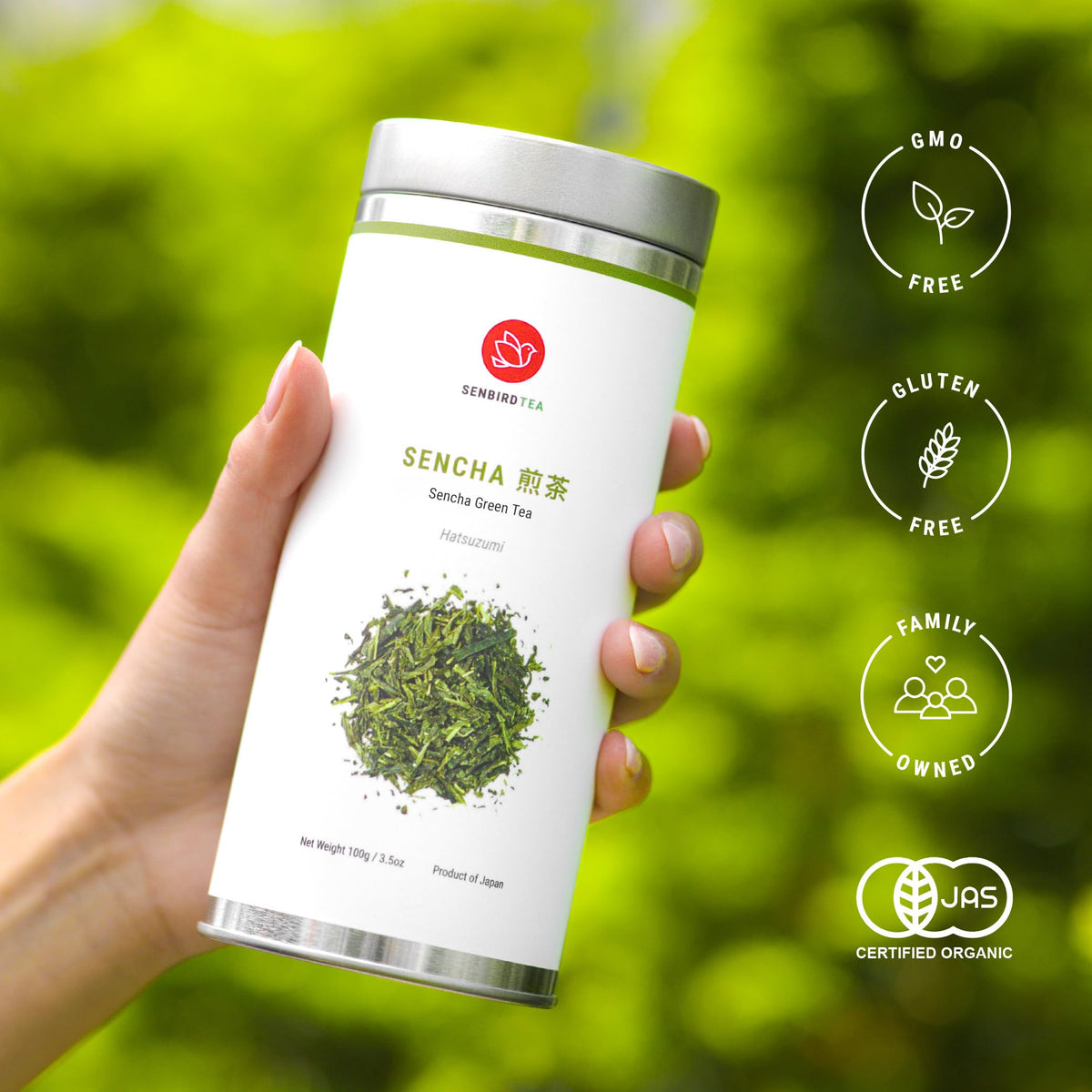 Brewing Senbird Sencha yields a balanced cup with depth.