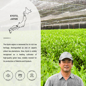 Senbird stone-ground matcha powder highlights fine texture ideal for whisking.