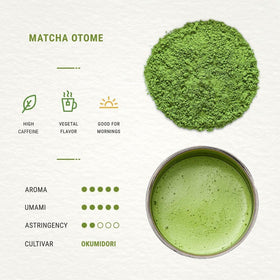 Senbird Uji ceremonial matcha leaf close-up shows vibrant leaves from trusted farms.