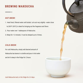 Senbird Wakoucha hot cup steaming to reveal mellow cacao and malt notes