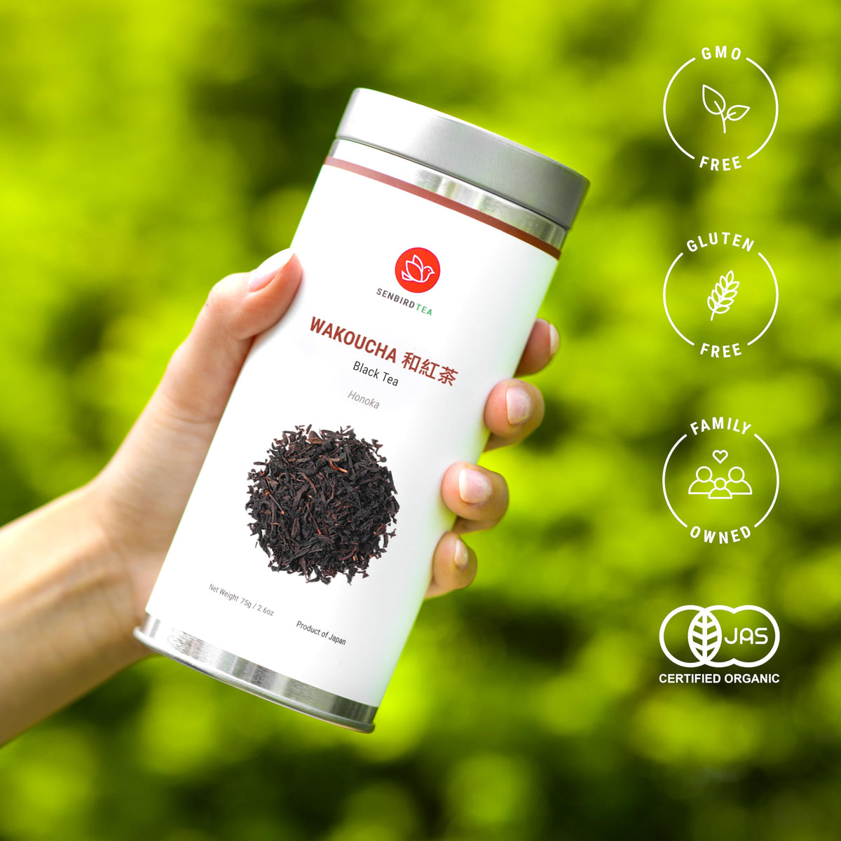 Senbird Wakoucha steeping hot cup capturing warm aroma