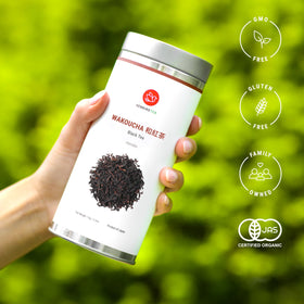 Senbird Wakoucha steeping hot cup capturing warm aroma