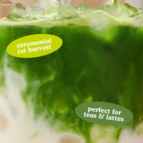 First harvest leaves from Kagoshima farms for bright, delicate flavor