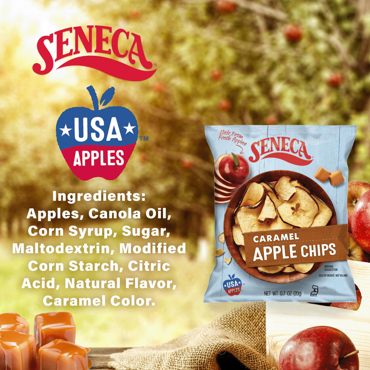 Seneca Caramel Apple Chips ideal for school or work snacks with real apple taste.