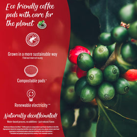 Compostable Senseo decaf pods displayed for waste-free disposal