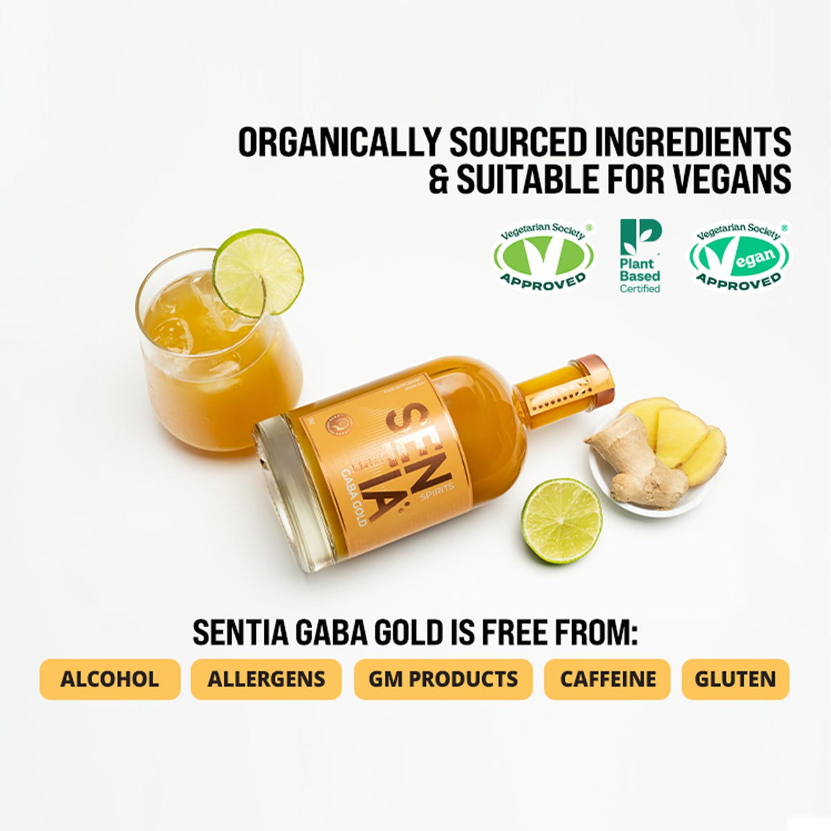 Pouring Sentia Gaba Gold hints at a balanced mocktail base without alcohol.