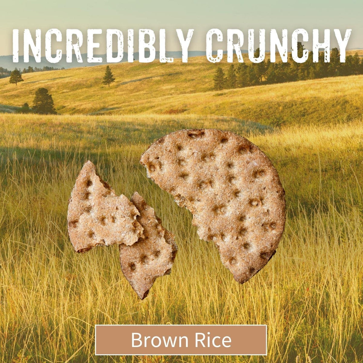 Sesmark Non-GMO Project Verified label on brown rice thins package.