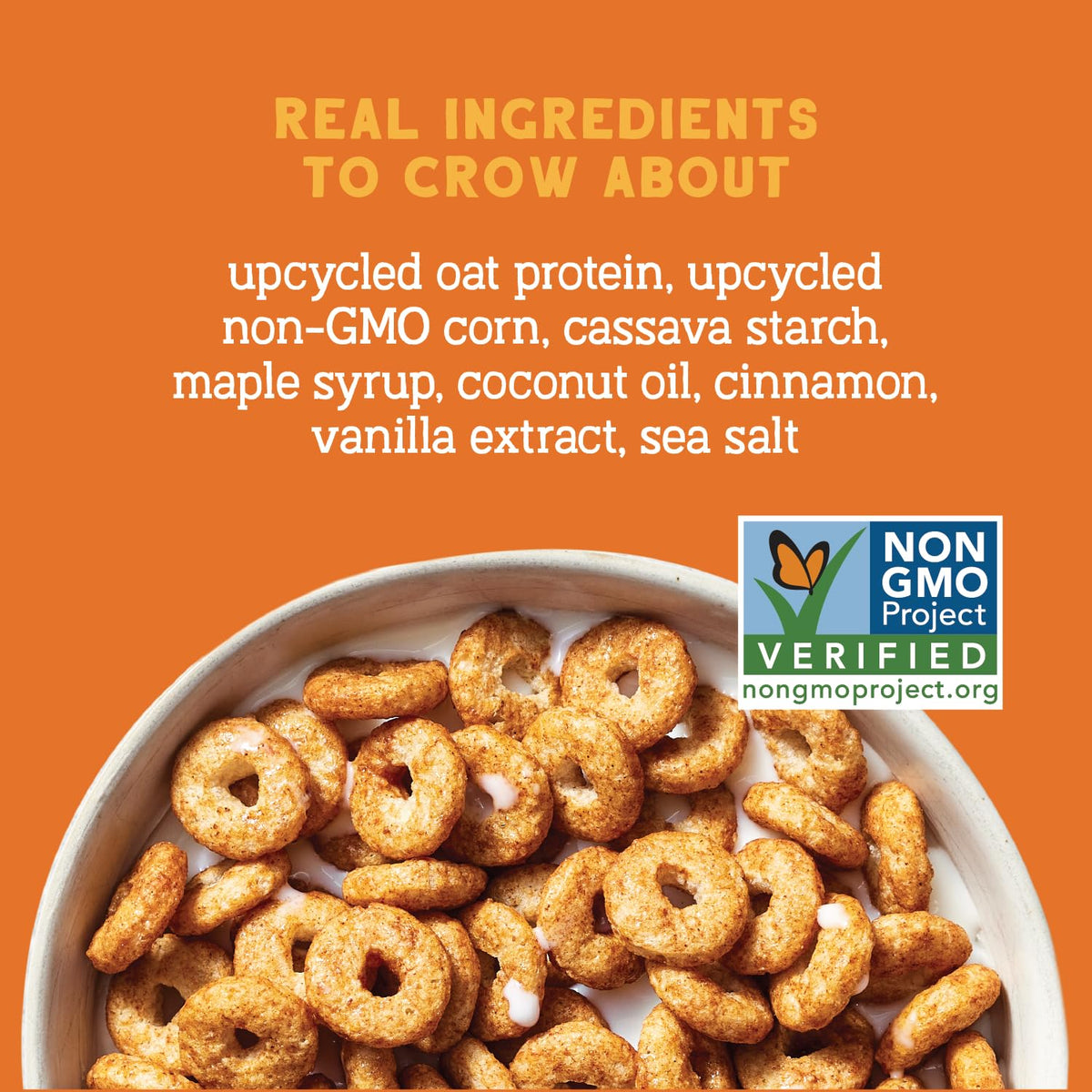 Seven Sundays Maple Cinnamon Oat Protein Cereal pour—creamy milk pairing enhances flavor and texture.