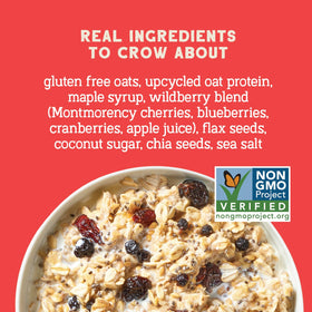 Seven Sundays Protein Oats Wildberry ingredients layout with oats and upcycled protein
