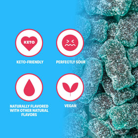 Shameless Super Sour Blue Raspberry keto-friendly label highlights net carbs.