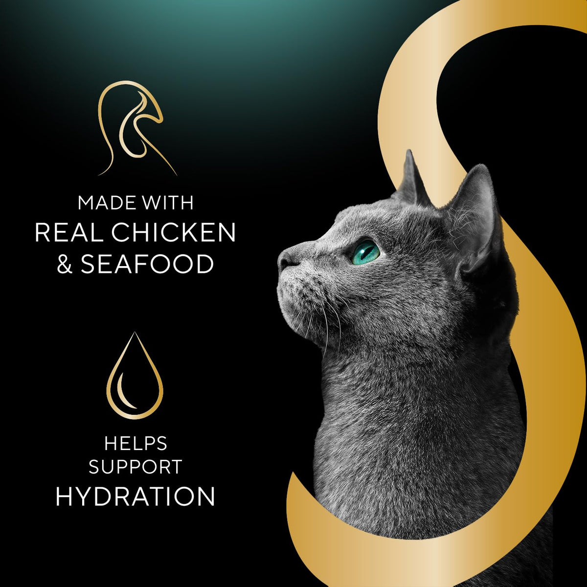 Sheba Selections Filets in Broth topper on dry cat food for enhanced flavor