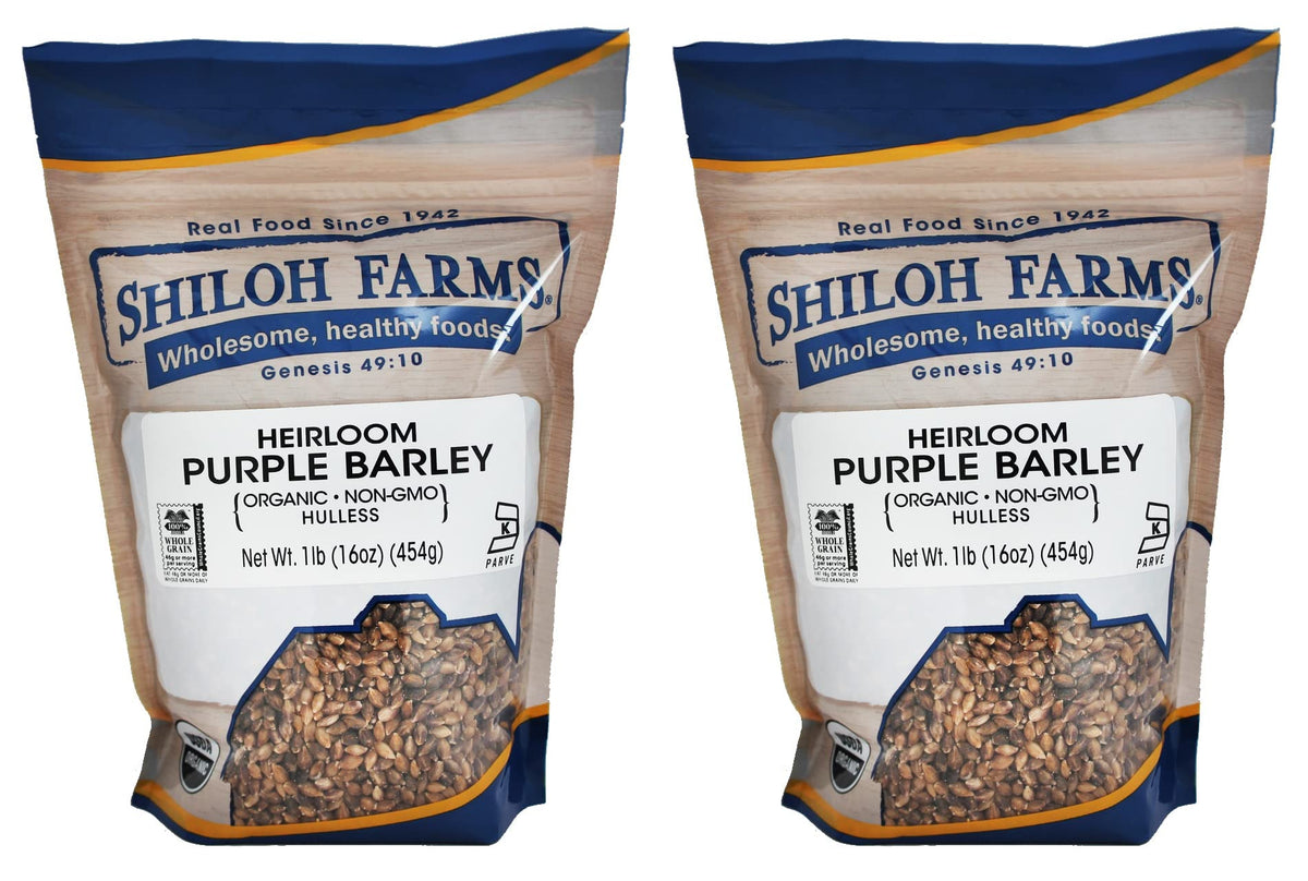 Shiloh Farms hulless purple barley kernels in focus, offering nutty flavor and versatile meal base.