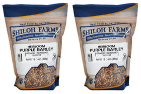Shiloh Farms hulless purple barley kernels in focus, offering nutty flavor and versatile meal base.