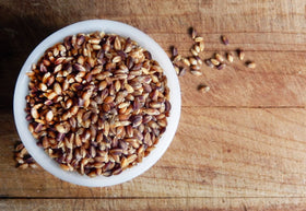 Shiloh Farms hulless purple barley in a cooked bowl, highlighting hearty texture and rich color.