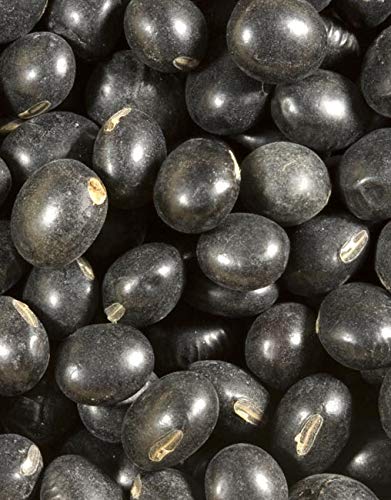 Shiloh Farms Organic Black Soybeans soaking in water for cooking.
