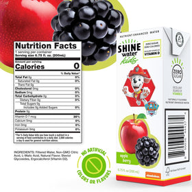 ShineWater Fruity Punch pouch close-up offers zero added sugar hydration